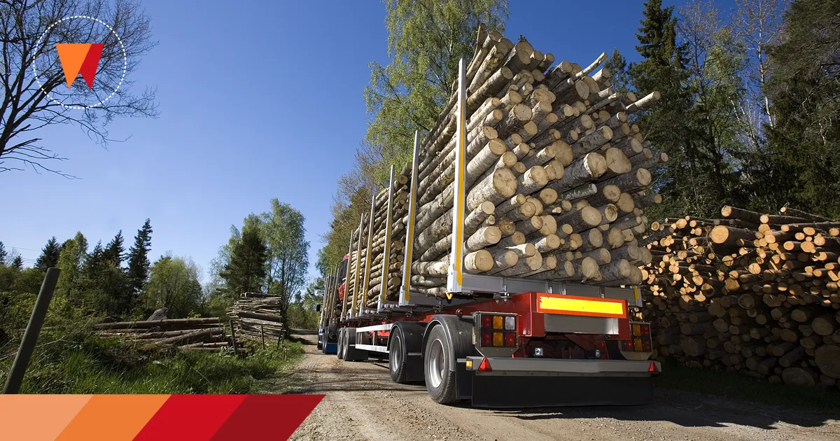 Levná zásobárna dřeva pro Rakousko a Německo