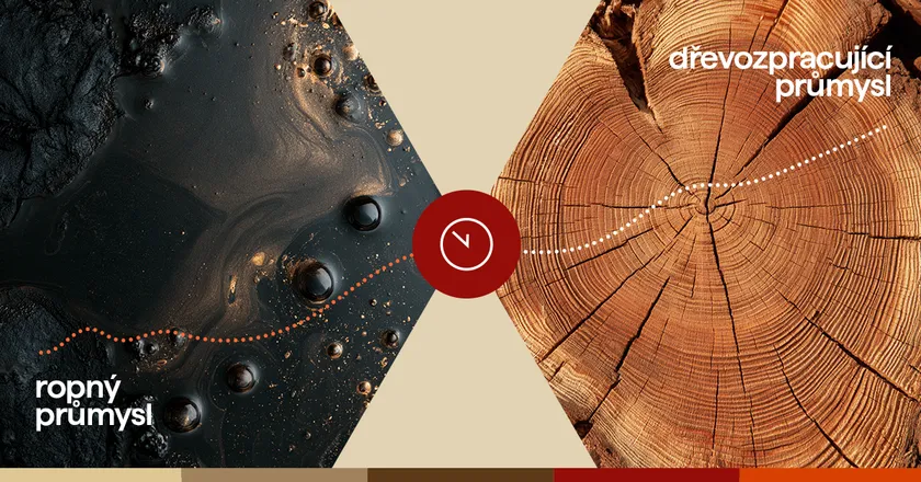 Jak se vyvíjí cena dřevních pelet a co ji dnes ovlivňuje?